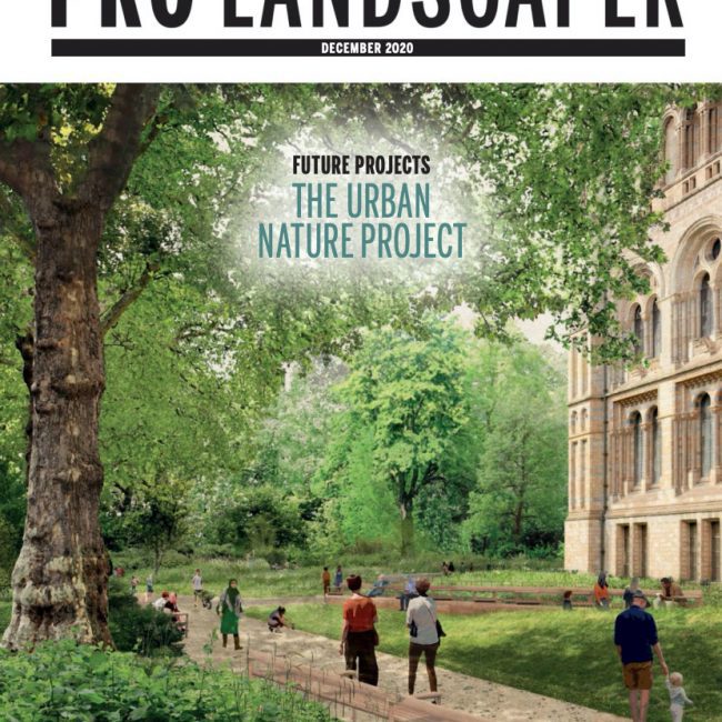 Prolandscaper-Dec20