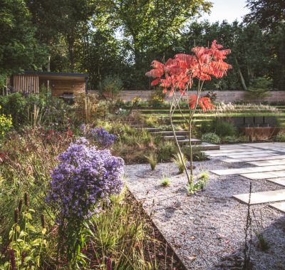 Contemporary, terraced and naturalistic garden, Warrington