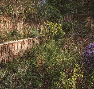 Contemporary, terraced and naturalistic garden, Warrington