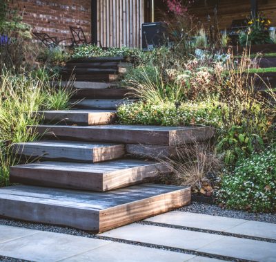 Contemporary, terraced and naturalistic garden, Warrington