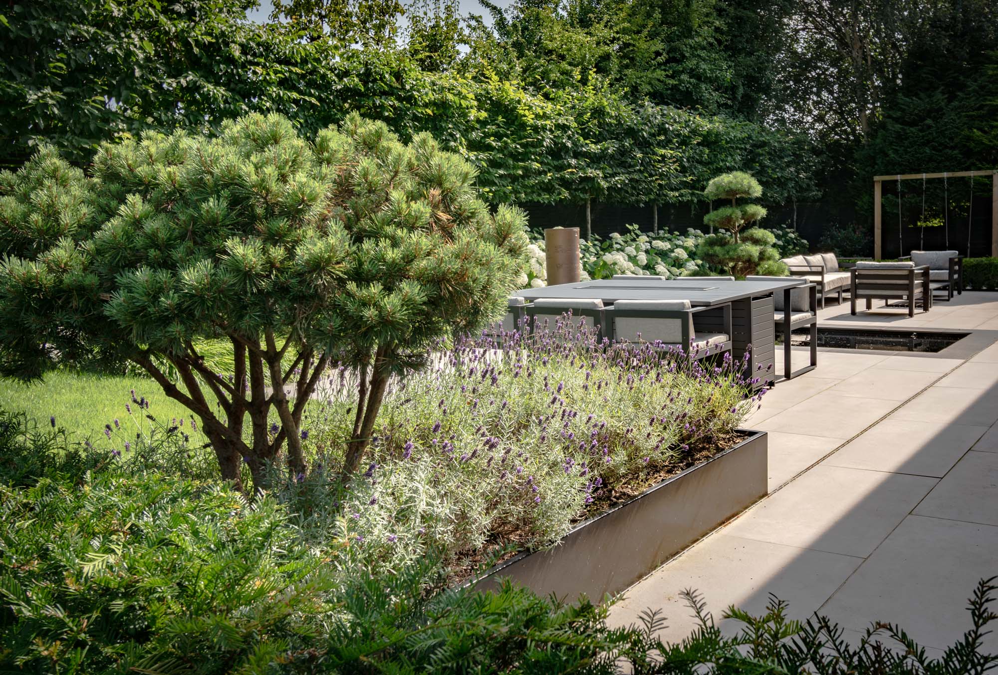 Minimalist contemporary garden design in Lancashire