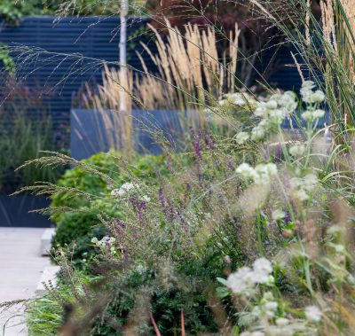 contemporary urban planting scheme